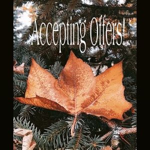 Currently Accepting Offers!